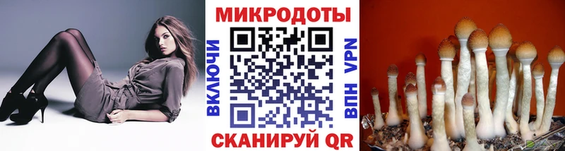 Галлюциногенные грибы ЛСД  Советский 